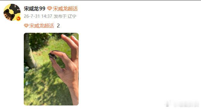 宋威龙手抓知了 宋威龙手抓知了，我的天咧！宋威龙抓知了又放了