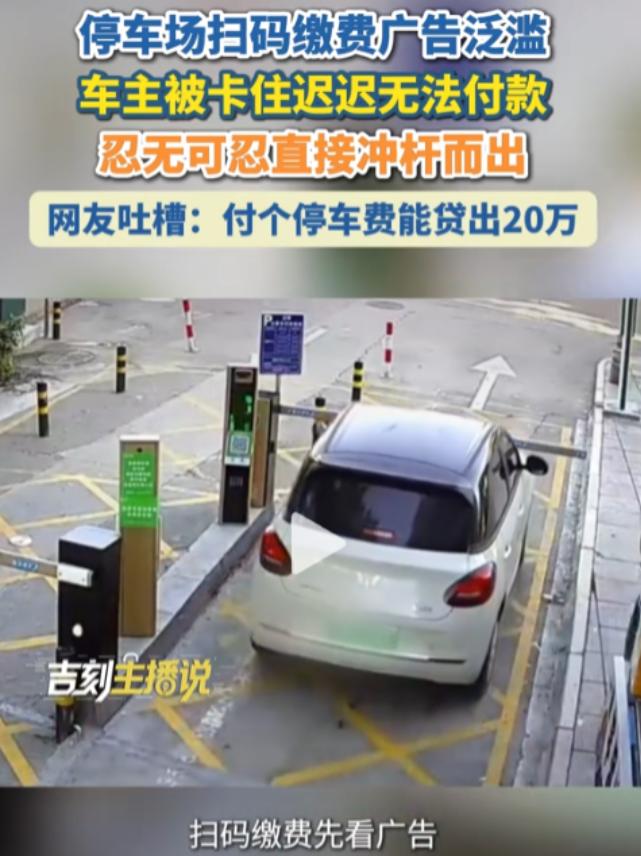 这就是国家这次要严打的原因了，本该几秒钟完成的停车缴费，硬生生把车主逼到冲杆离场