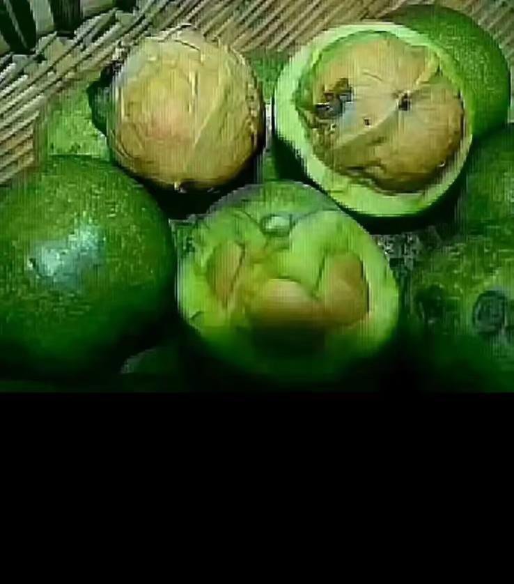 外地朋友说我的特产特难吃，又苦又涩嘴发黑