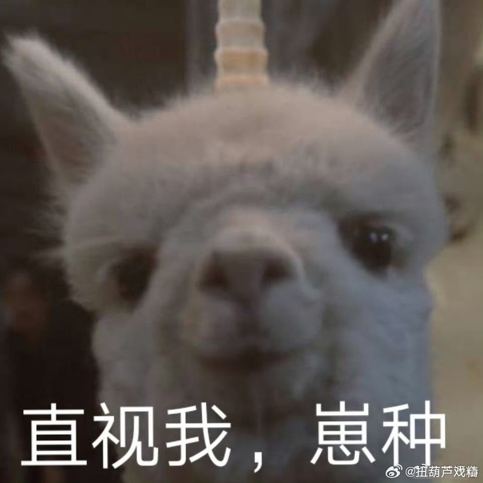 没发现我现在不叨叨了吗，我这个吐槽专家毒舌，期盼的基本上都达到了，没什么可以让我