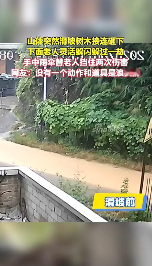 “命真大啊！”8月15日，广西，一位老人打着伞走在路上，突然遇上了滑坡，树木接连