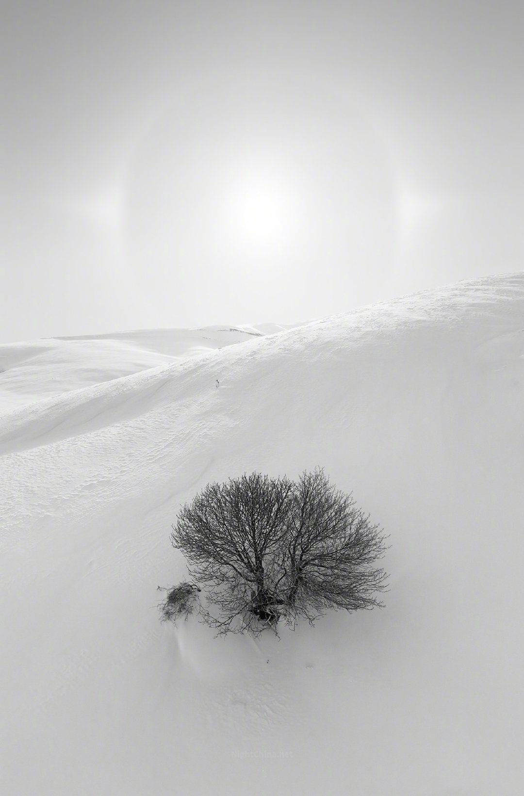 寒潮带来的降雪尚未停歇，阳光穿透厚重的云层与纷飞风雪，投射在早已银装素裹的山间。