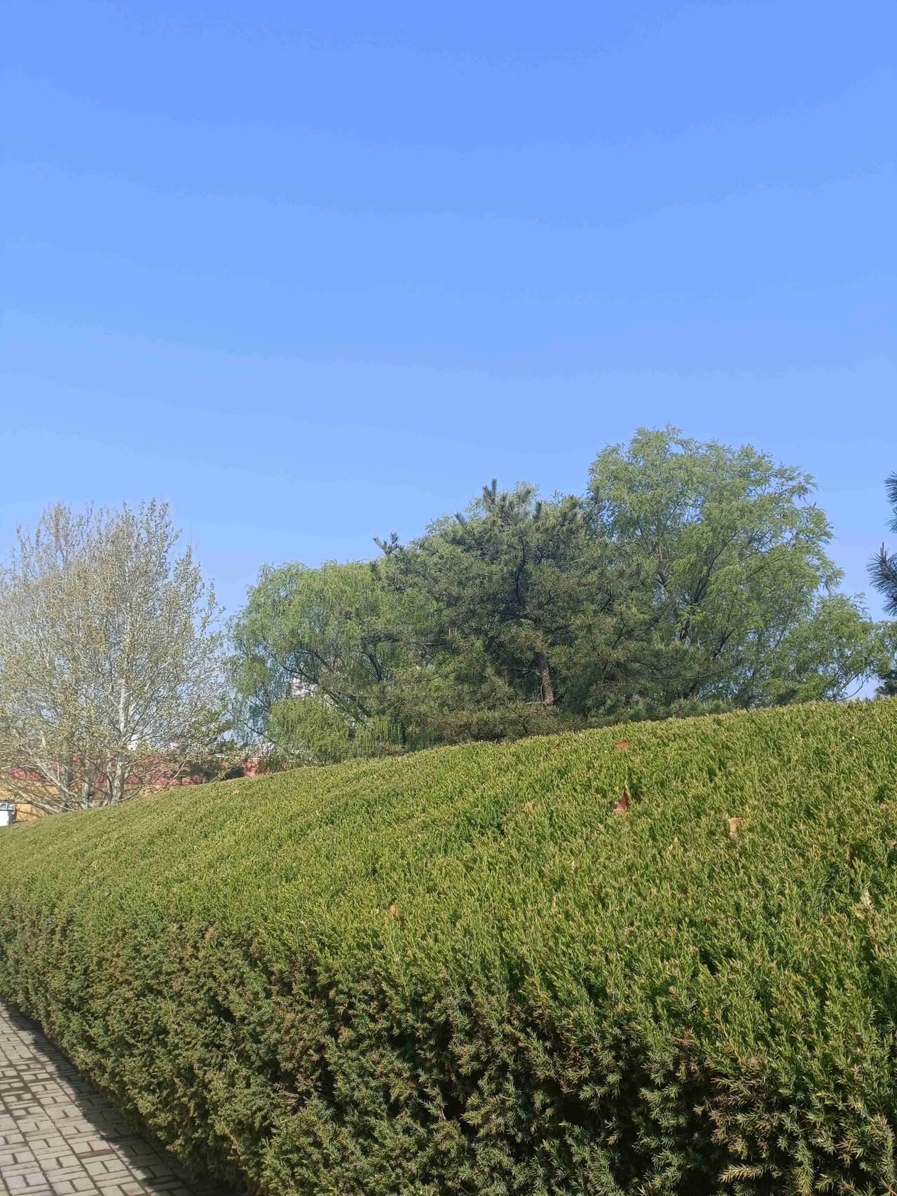 我的今日状态：😁轻松愉快
我这里的天气：☀️晴天