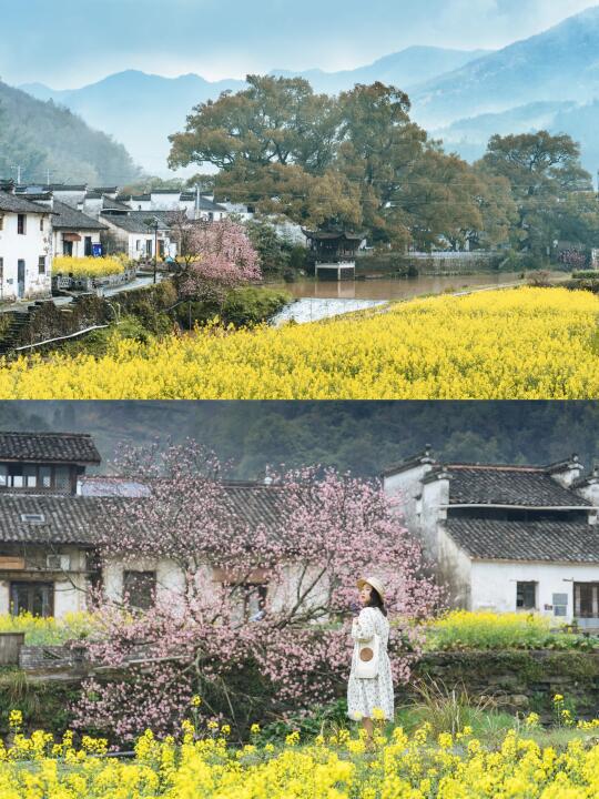 我在婺源上春山🌸3天2晚赏花攻略