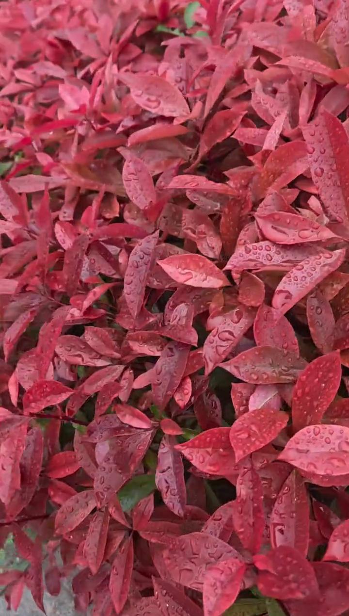 如何一直顺顺？顺什么顺？顺又顺。