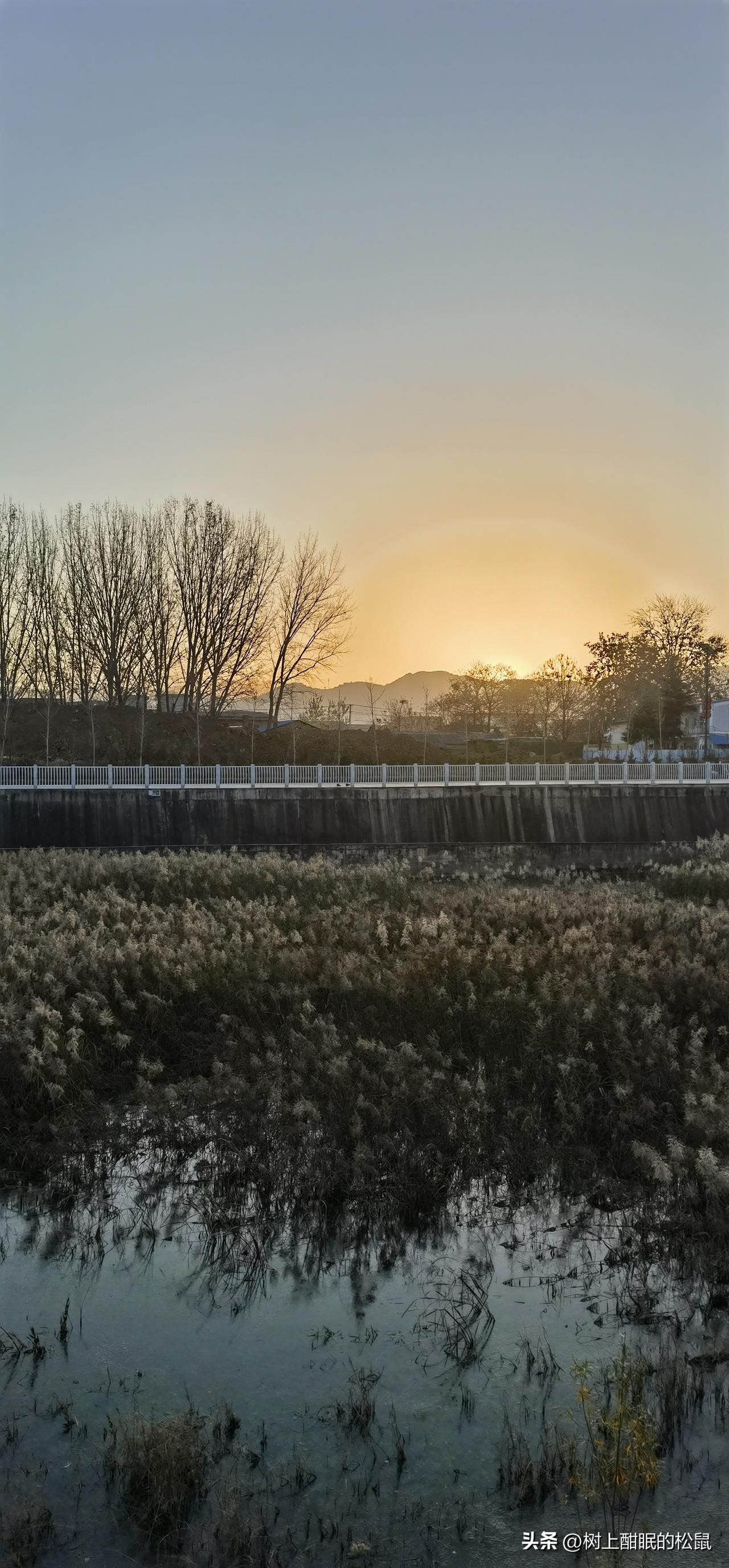 早上在公园走步锻炼，随手拍到的美景。日出的光晕像彩虹一样的绚丽多彩。
清晨美景照