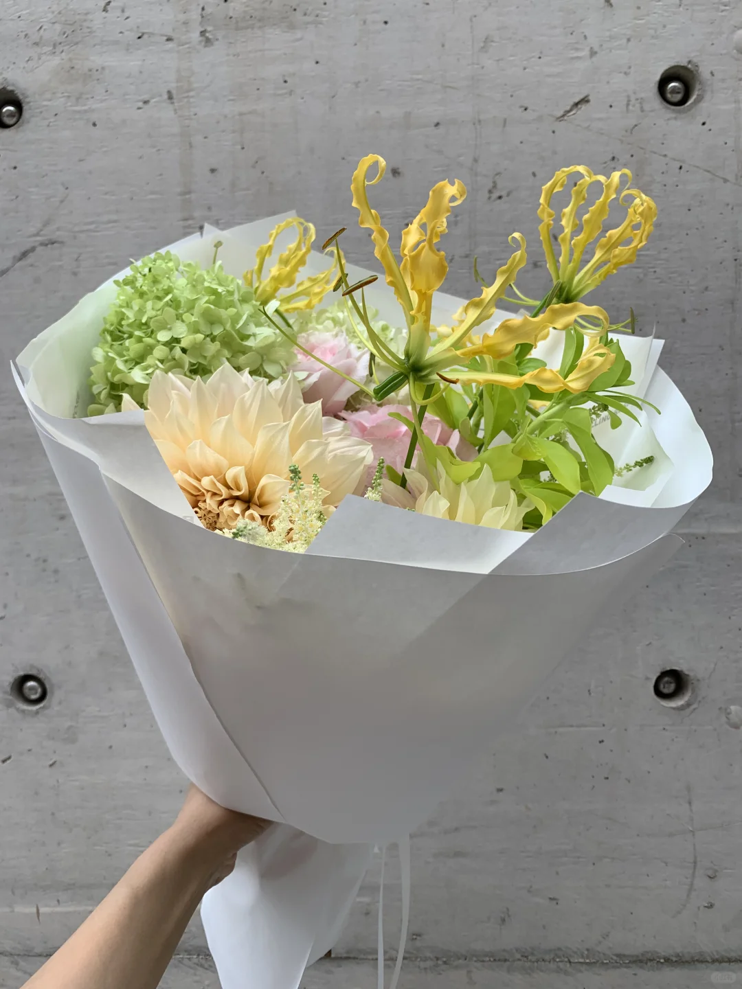 奶黄奶绿奶粉