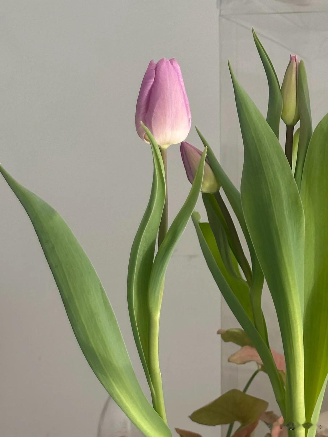 无论你在寻找什么，亲情，友情，或爱情，终其一生，其实你都是一个人，极少有人能真正