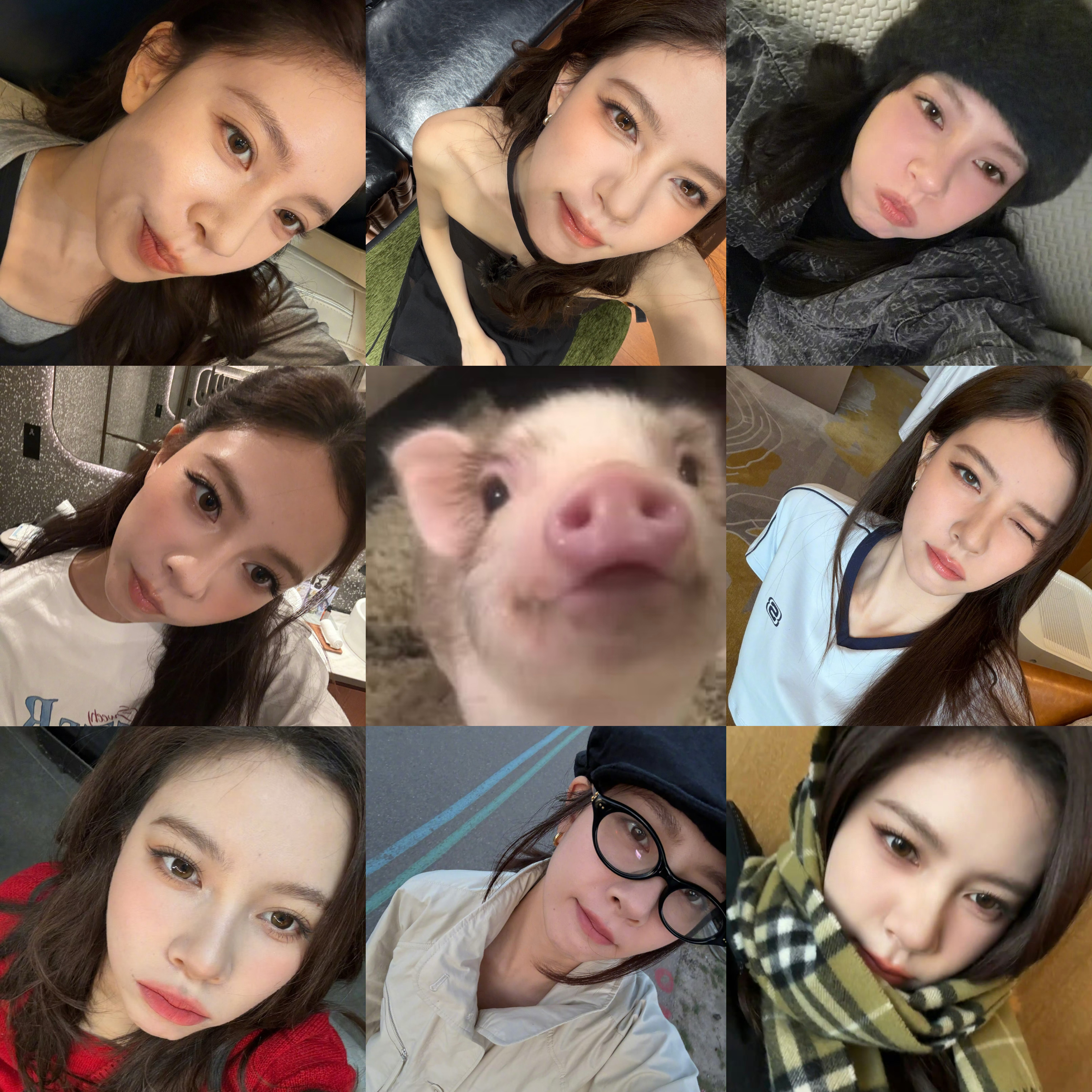 精致的猪猪女孩 
