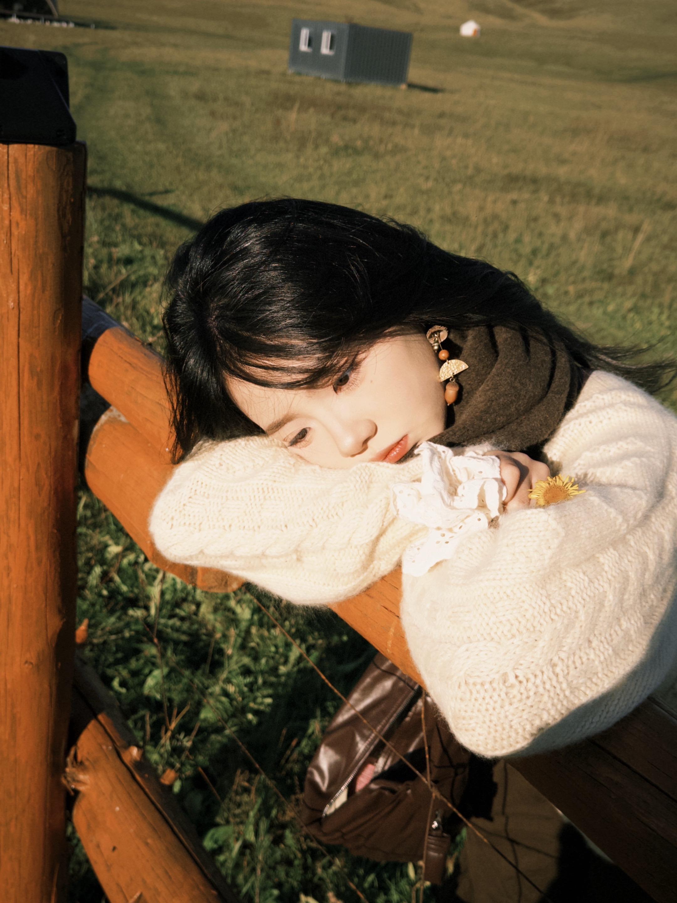 北国的秋 悄悄的来了