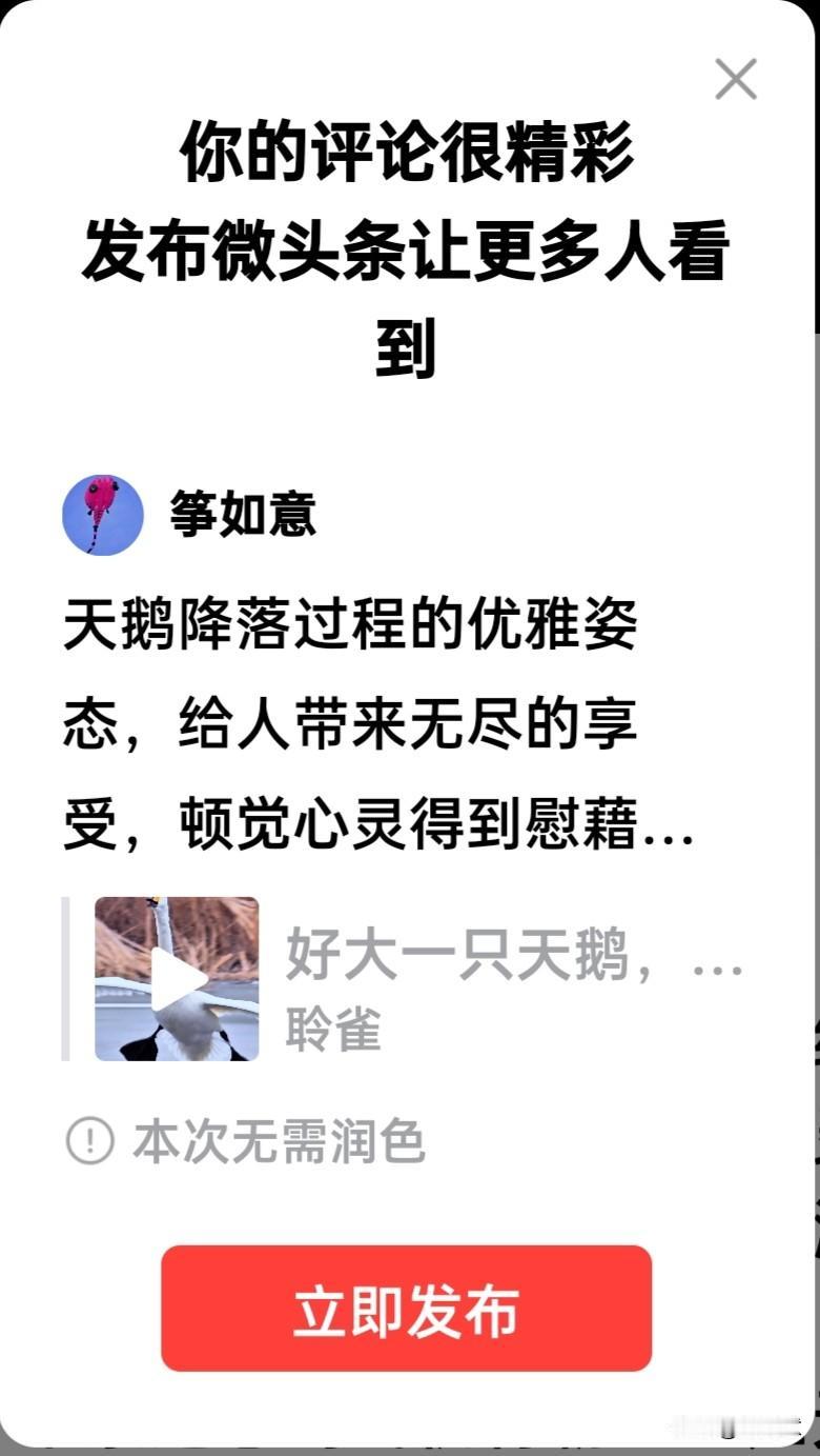 天鹅降落过程的优雅姿态，给人带来无尽的享受，顿觉心灵得到慰藉和收获超常的视觉满足
