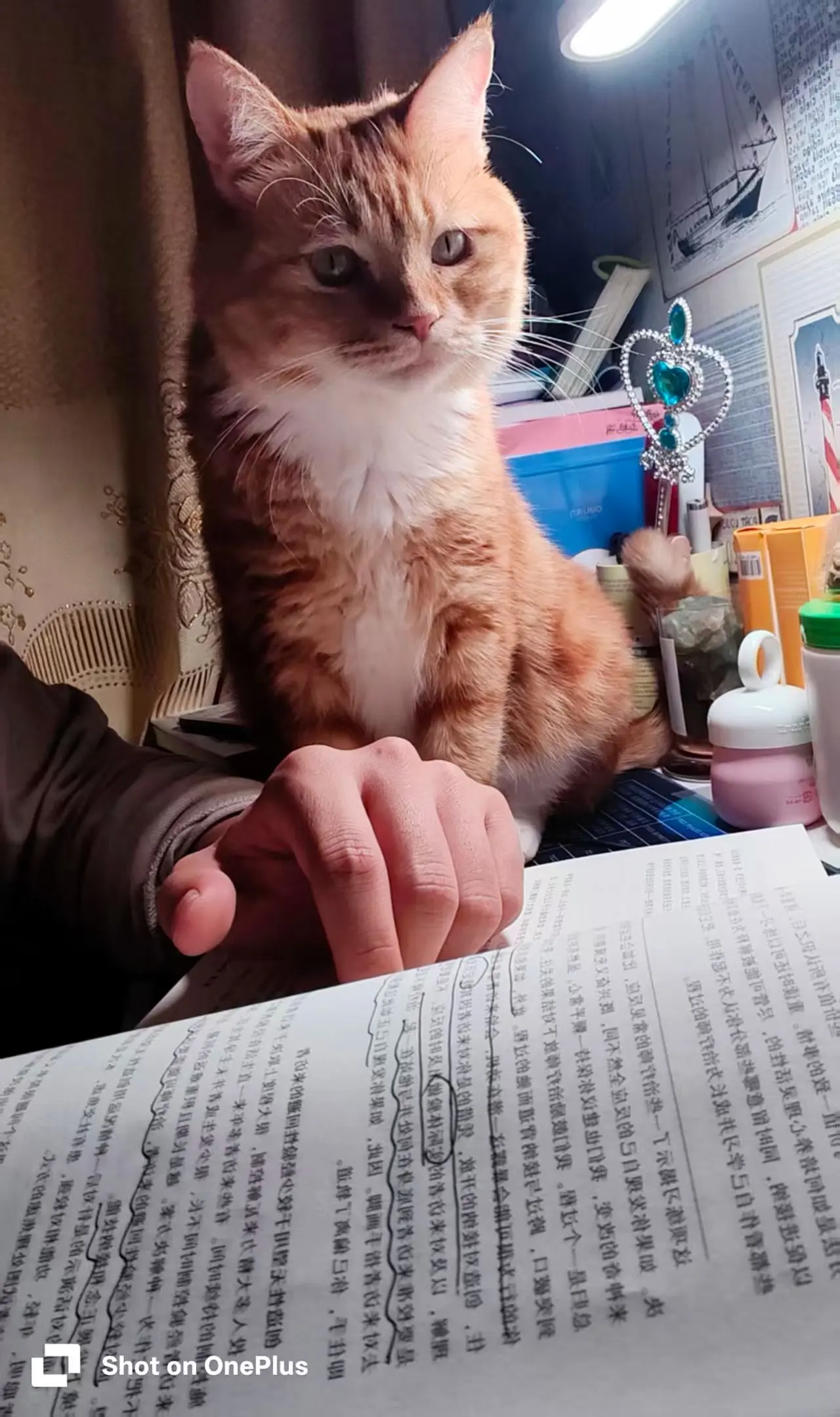 不要活在你的头脑中。让你害怕的事情发生，然后你会发现也不过如此 当你用...