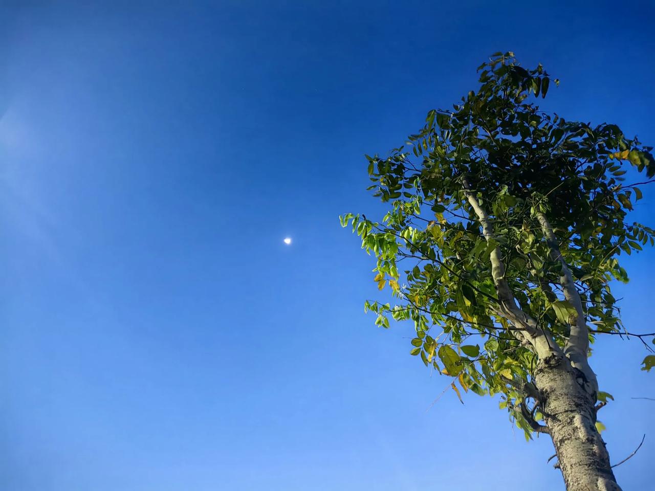 不是李娟把平淡写得美了，而是那些美早就存在，李娟用她大把的时光去观察感受这些平淡