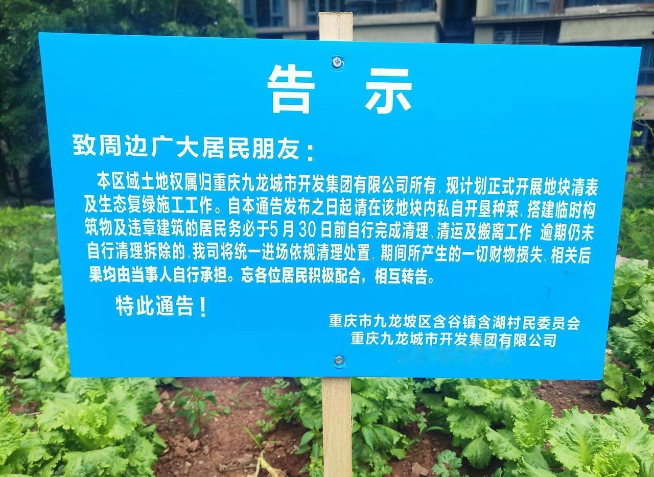 关于含谷镇含糊村境内恒大香山华府小区西狭长地禁止种菜推进纯绿化的情况反应及建议