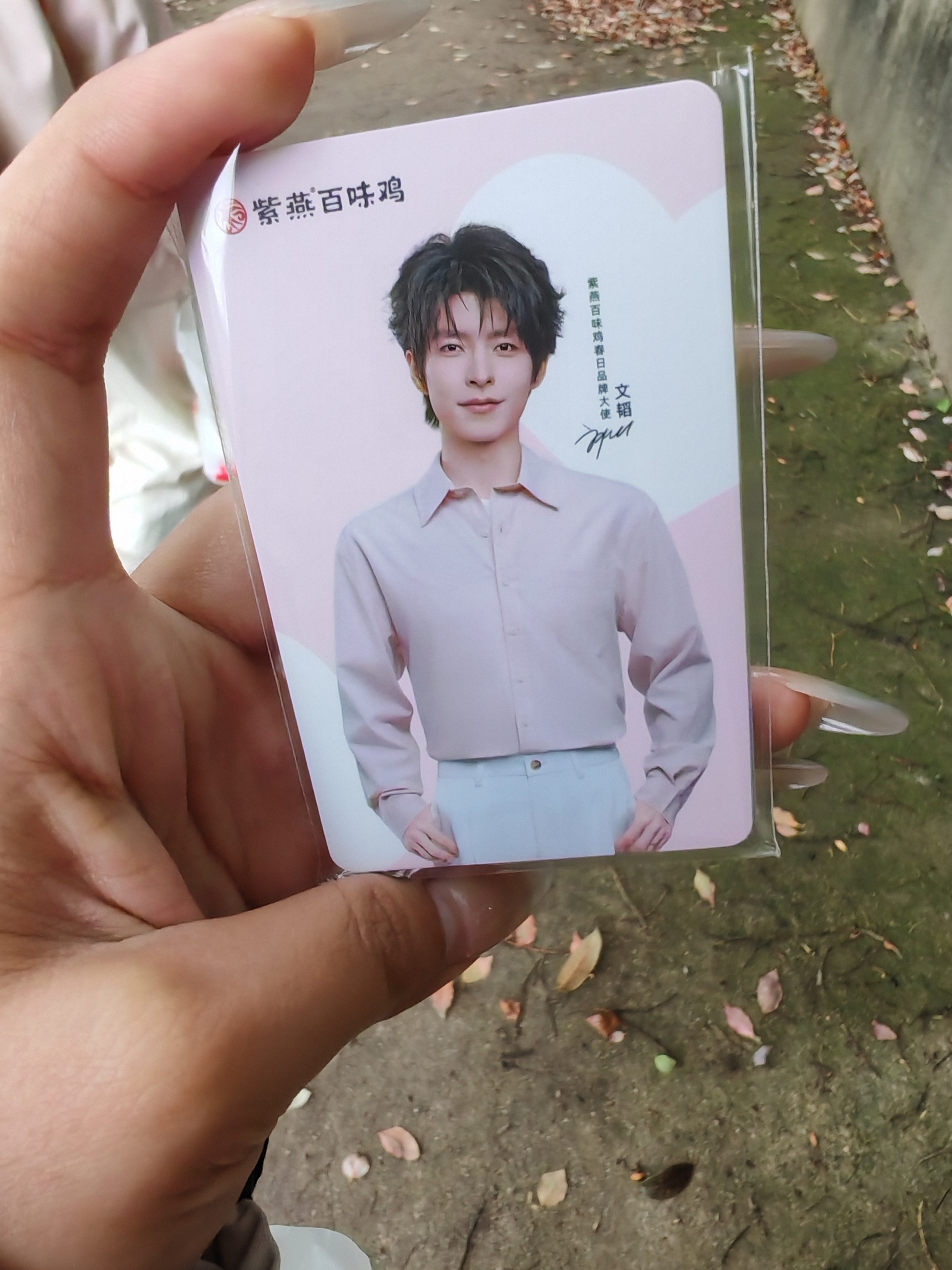 买顿饭送四张小卡