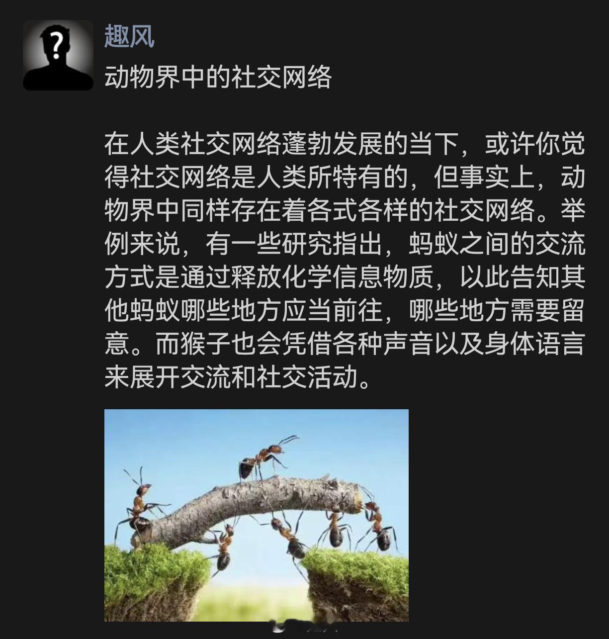 动物界也有社交网络 