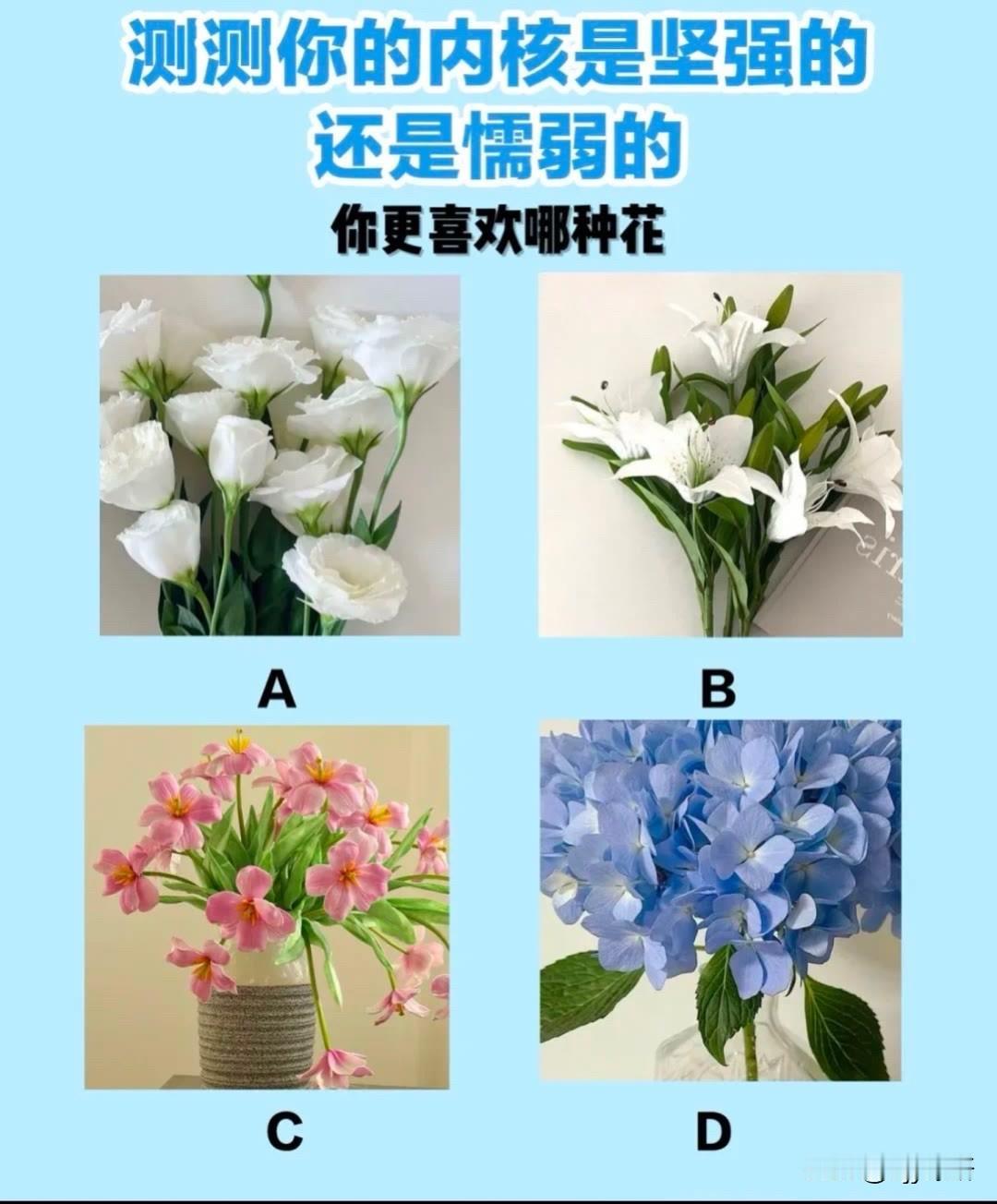 还是懦弱的你更喜欢哪种花