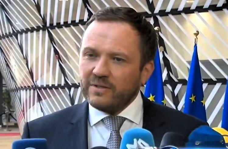 欧盟外长理事会，爱沙尼亚外长马古斯·察赫克纳接受记者采访时表示，如果唐纳德·特朗