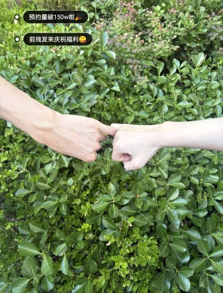 是哥妹！是炽夏！这个图 血管相连是骁挽纠缠一辈子的命运，是约定还是背叛还是你还爱