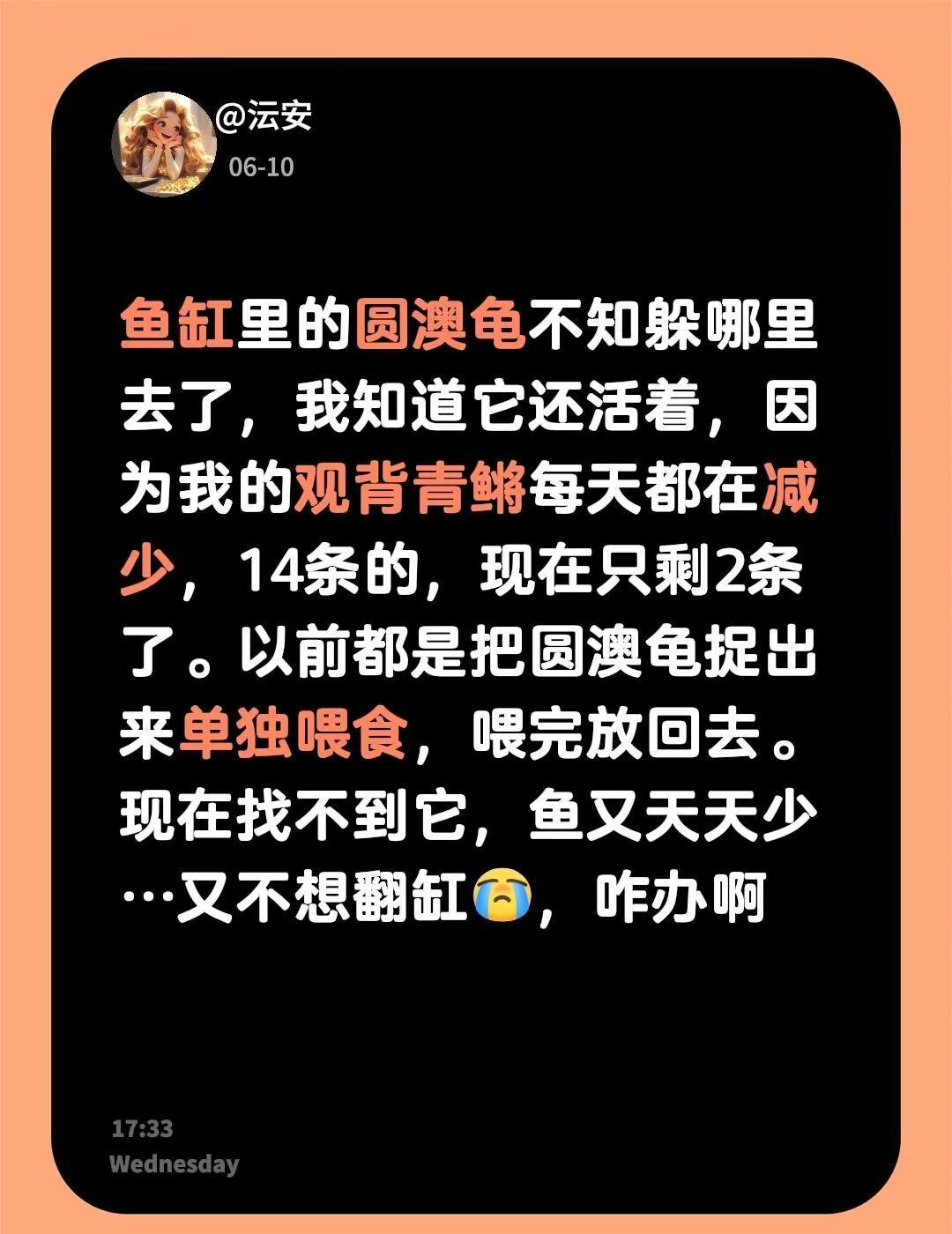 鱼缸里的圆澳龟不知躲哪里去了，我知道它还活着，因为我的观背青鳉每天都在减少，14