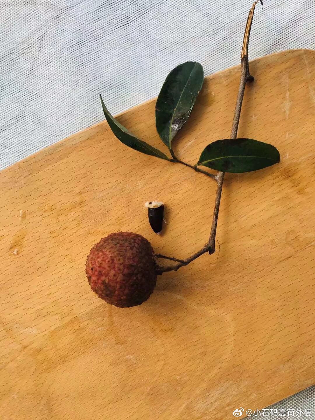 臼核荔枝，九湖荔枝，核小汁多，甜而不酸。 