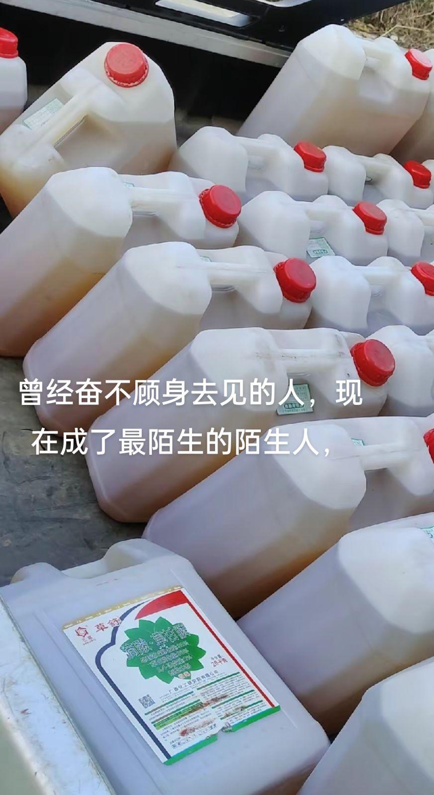 找不回原来的自己