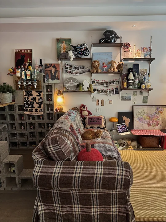 我看有人也用起了这砖头改造出租屋/•᷅‎‎