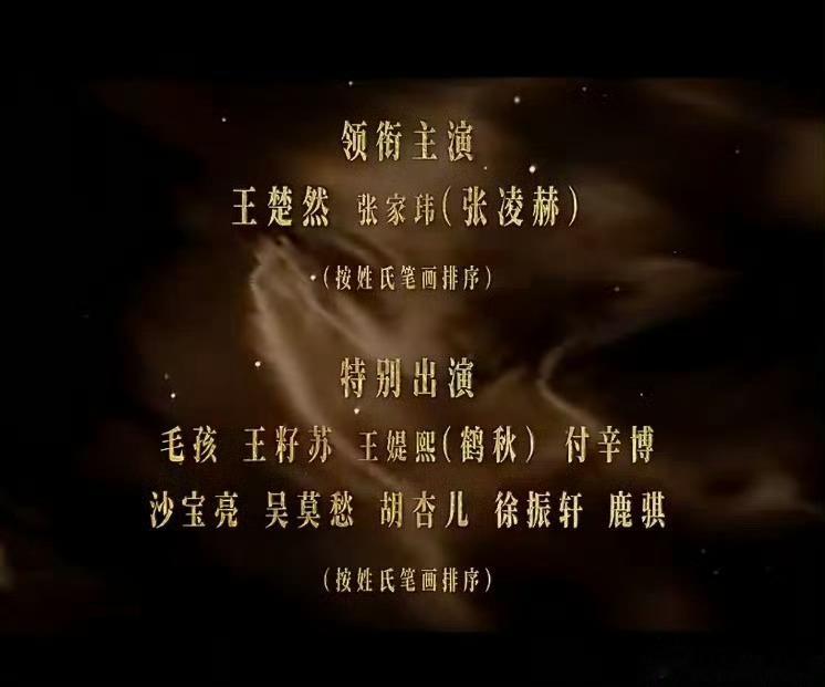 张家玮夹在王楚然张凌赫中间张家玮c位