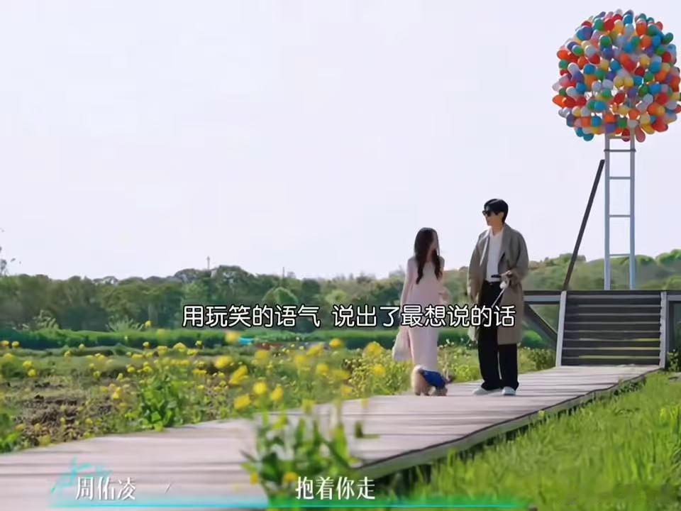 柳周cp 把海岛那段当甘露寺一样跳过吧柳周cp把我哄好了半熟恋人凌李政阴阳柳柳 