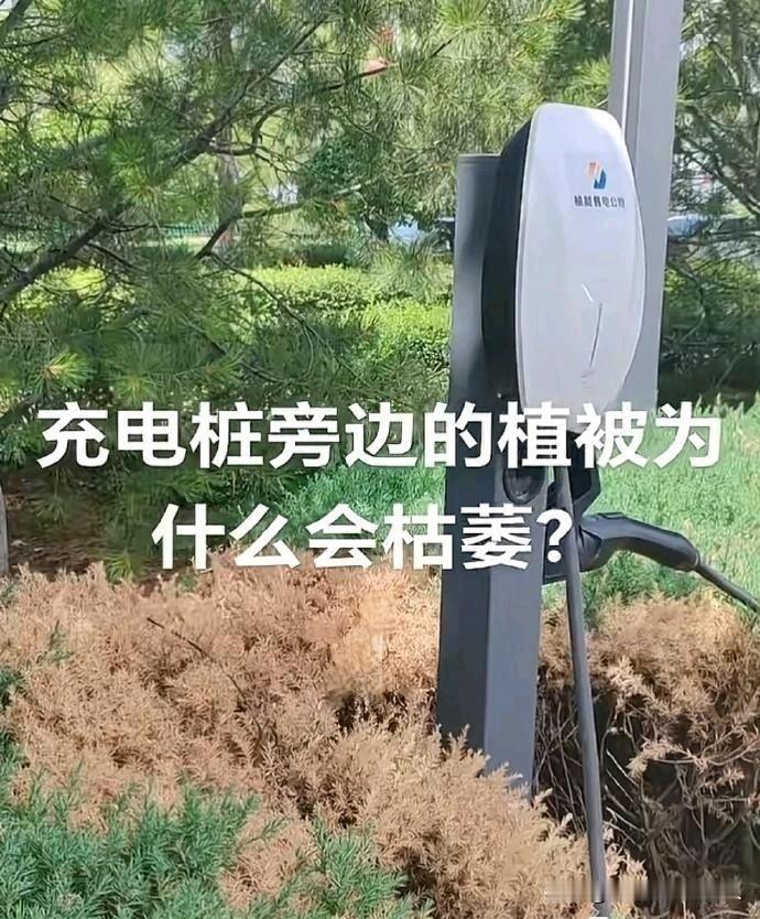 是不是被辐射了？