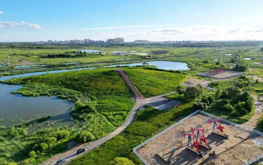 【等春来，不如看绿来！】

采油八厂第一作业区 康延龙
南一路绿色一路延绵，油在