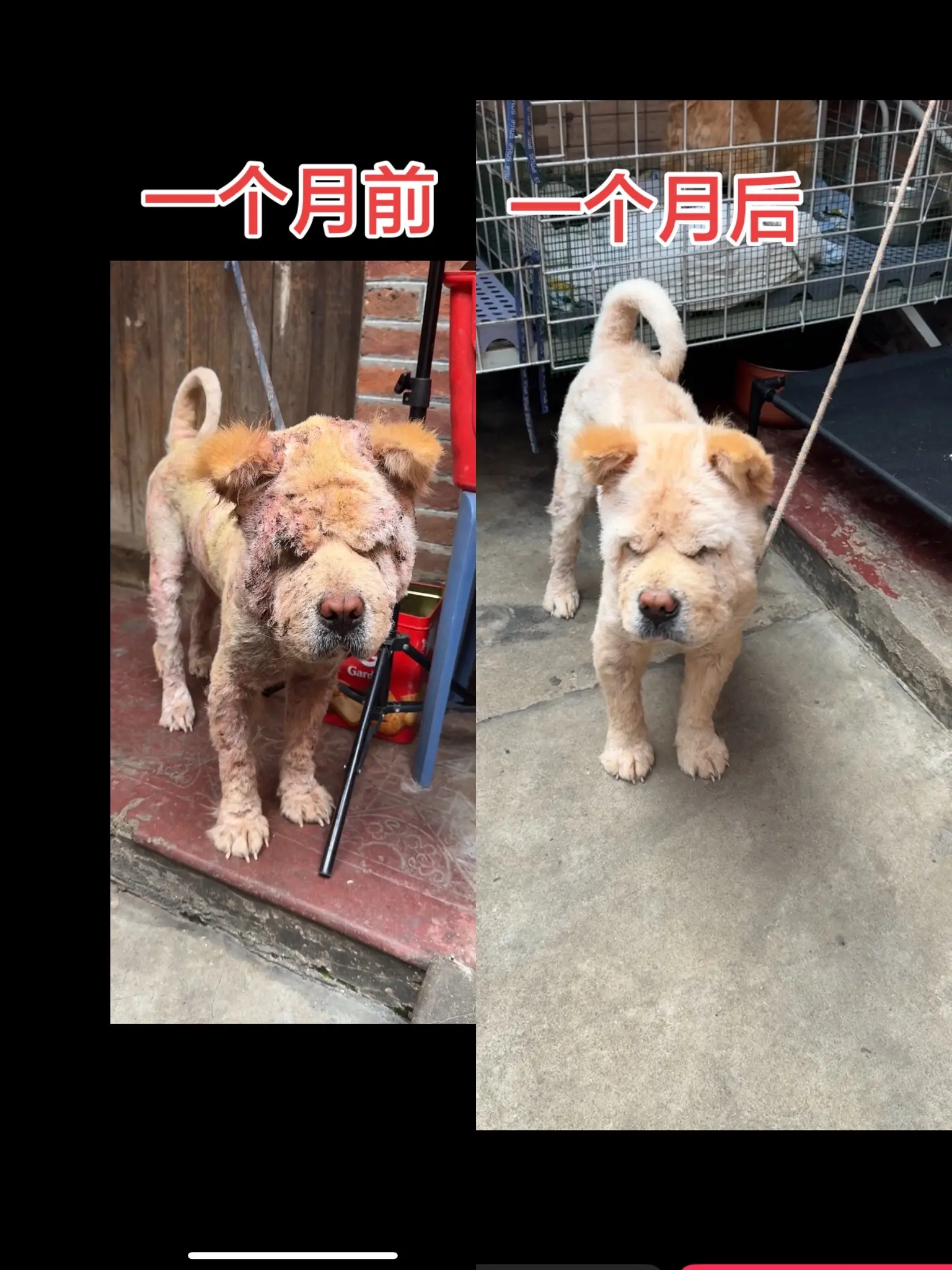 我只需一个月改变它原来的面貌