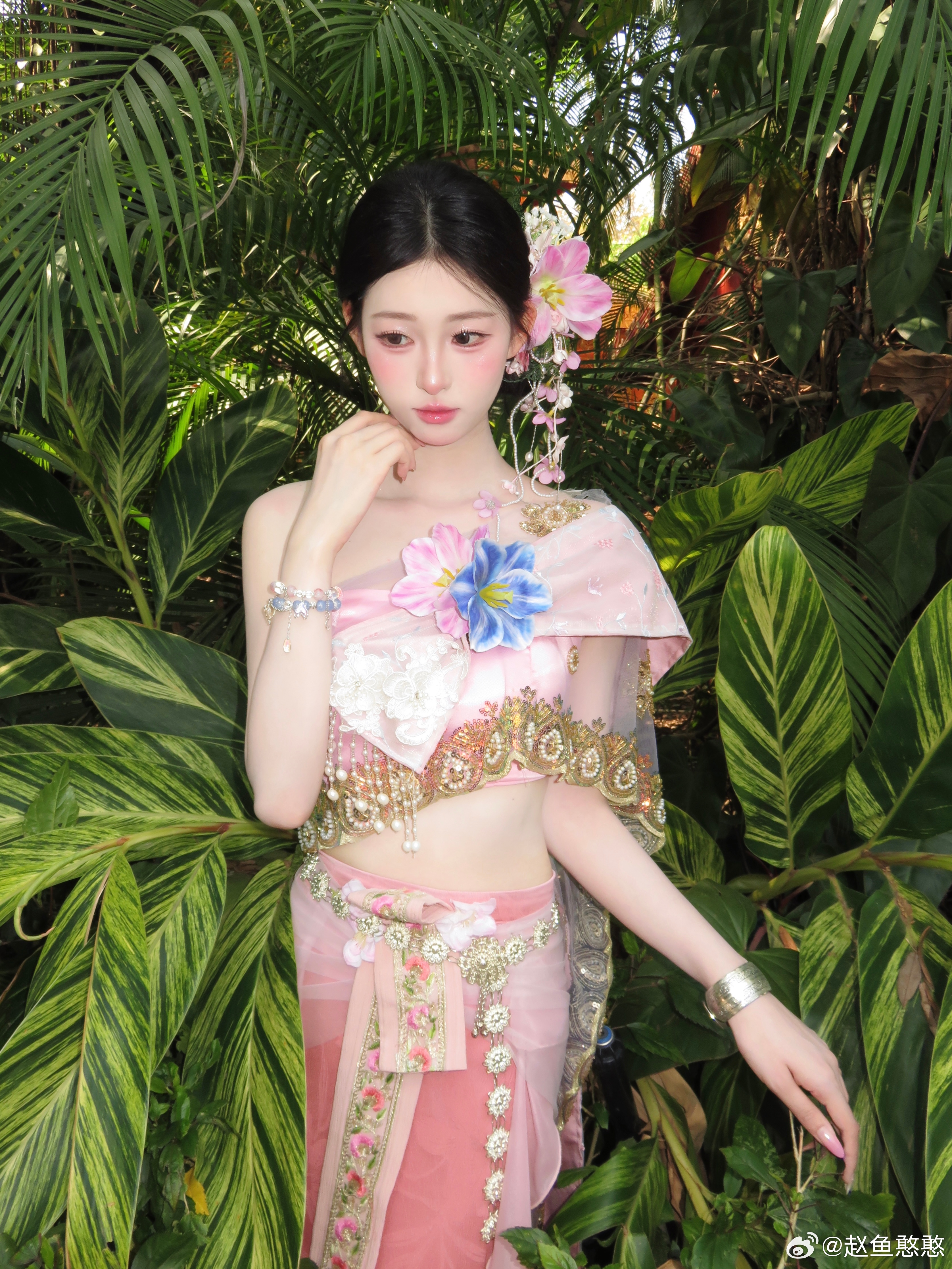 像荷花一样出淤泥而不染旅行vlog