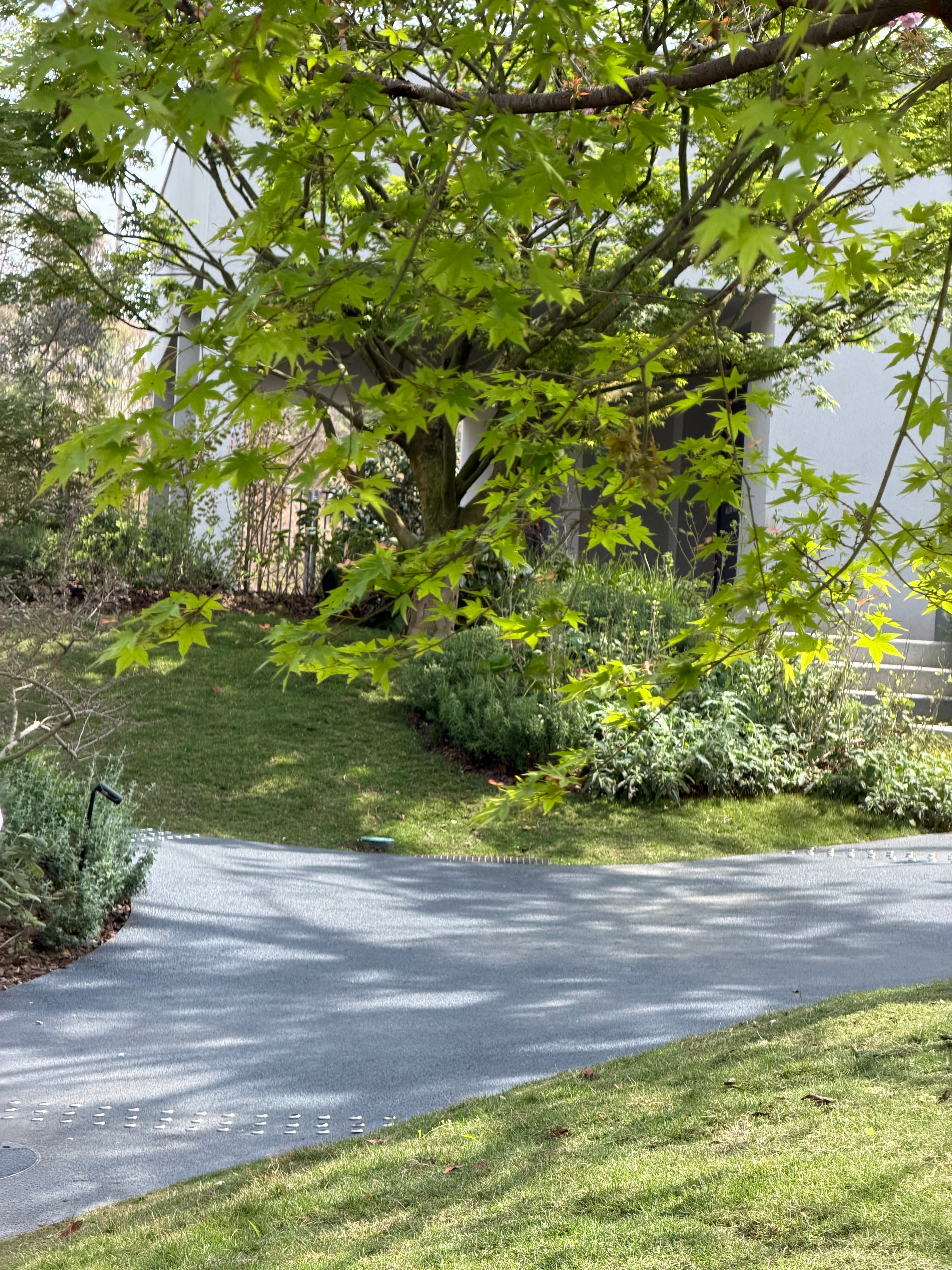 喜欢休息日📖🖊️你们今天吃了什么呀