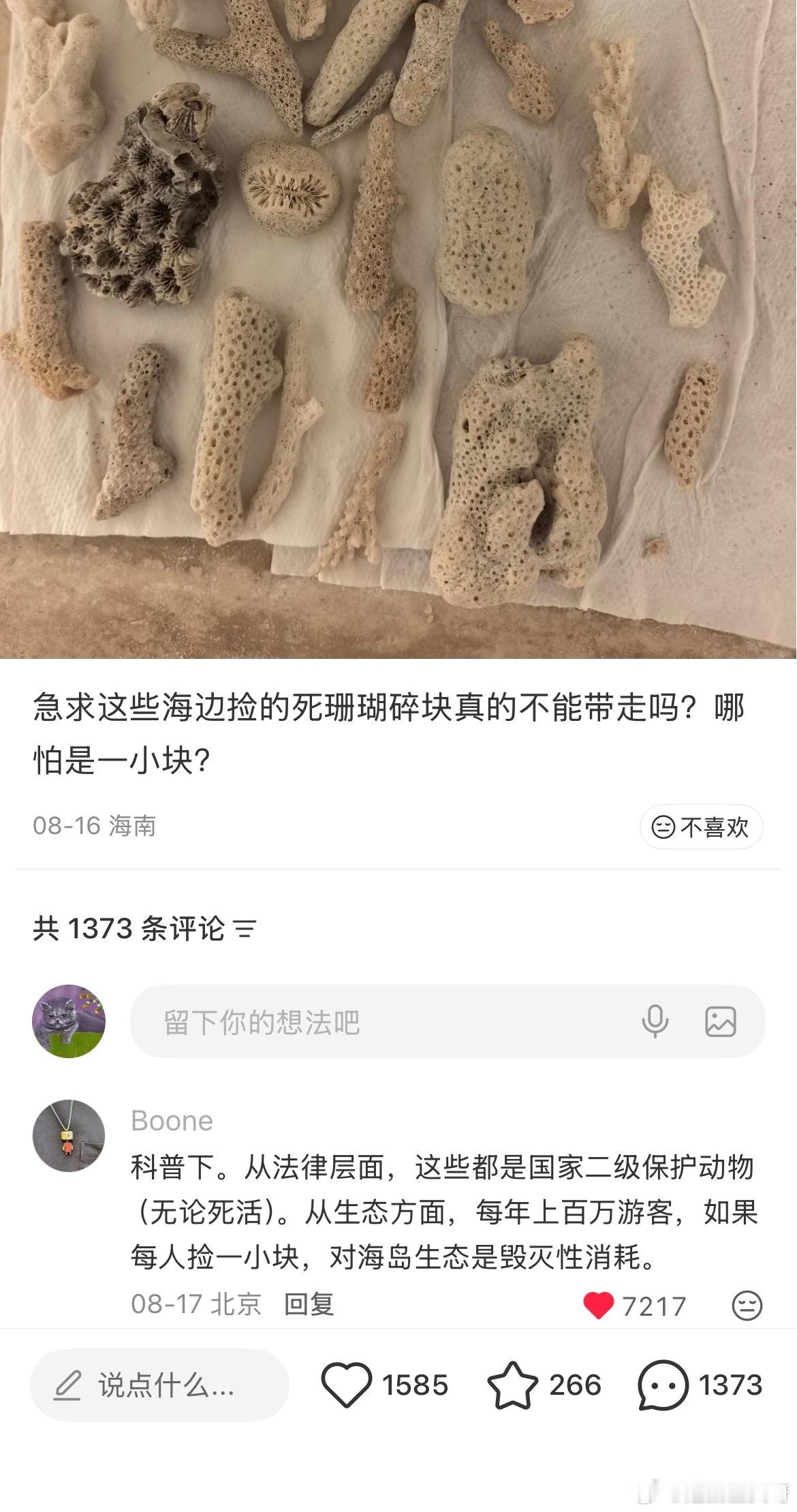当地朋友告诉我的让人难受的事，希望更多人知道1，不能拿走珊瑚，即使死亡的珊瑚对当