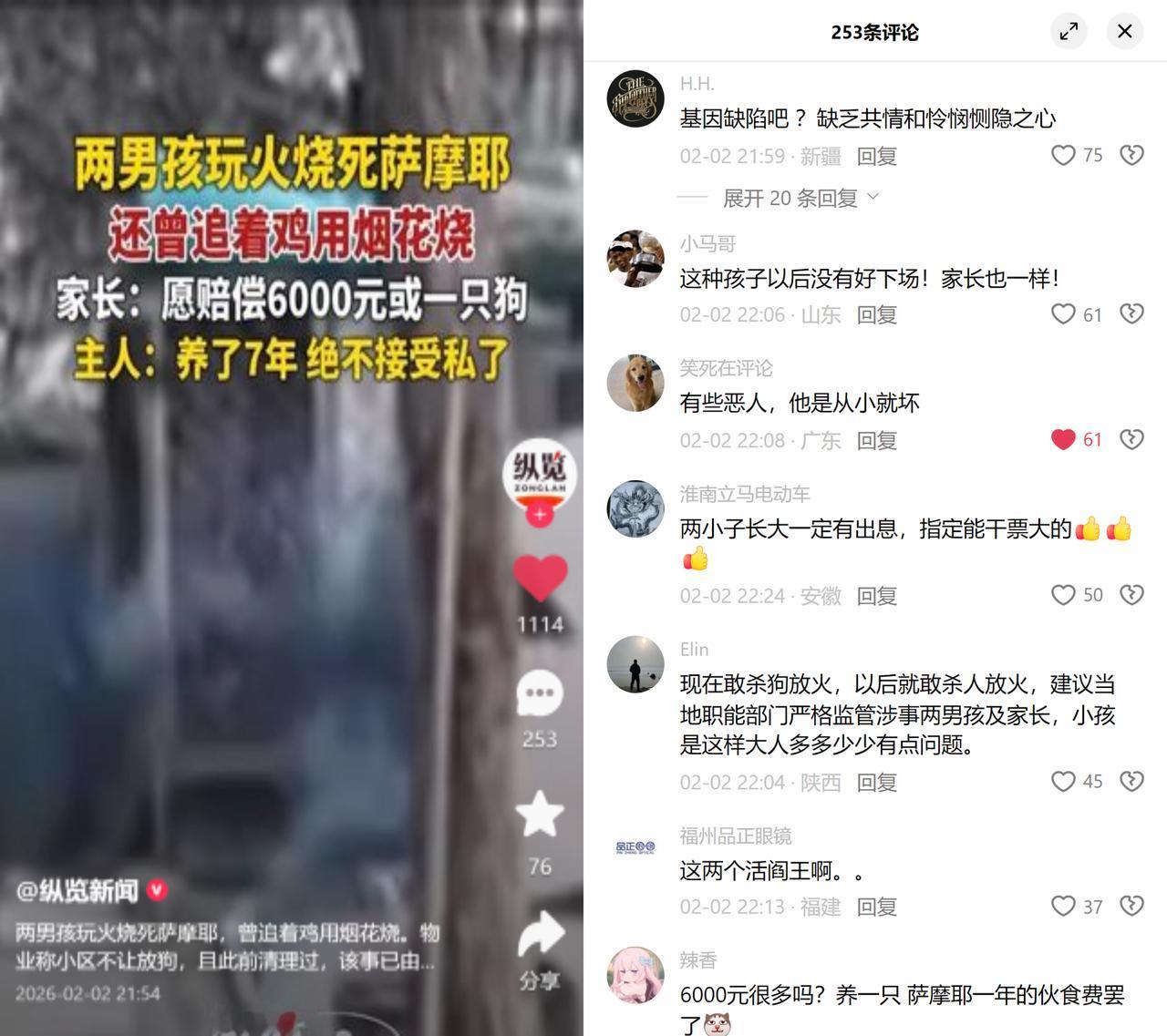 两男孩烟花烧狗，家长赔6000遭拒。

监控里的画面看得人牙酸：12点半多，