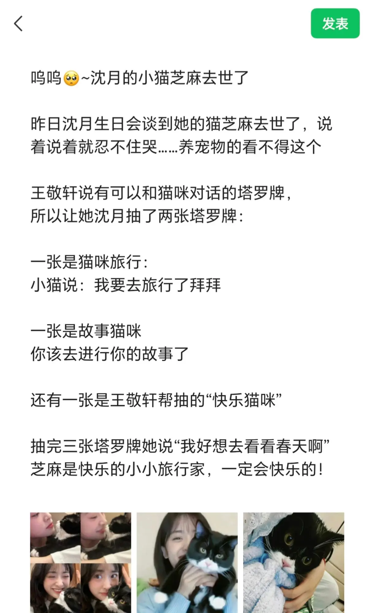 呜呜🥺~沈月的小猫芝麻去世了。 昨日沈月生日会谈到她的猫芝麻去世了...