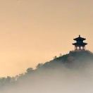 米柿柿爱说科技