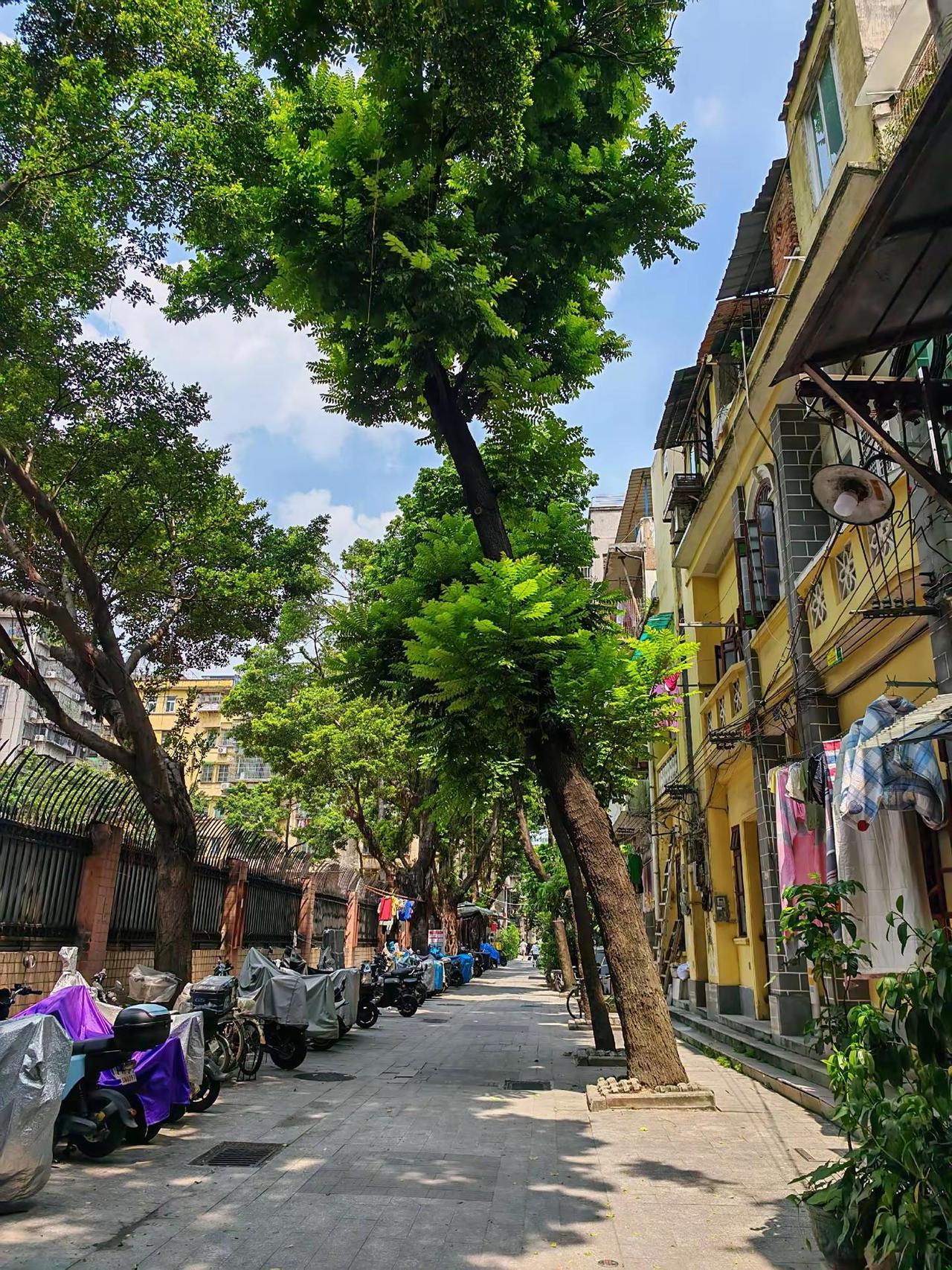 骑楼老街的故事