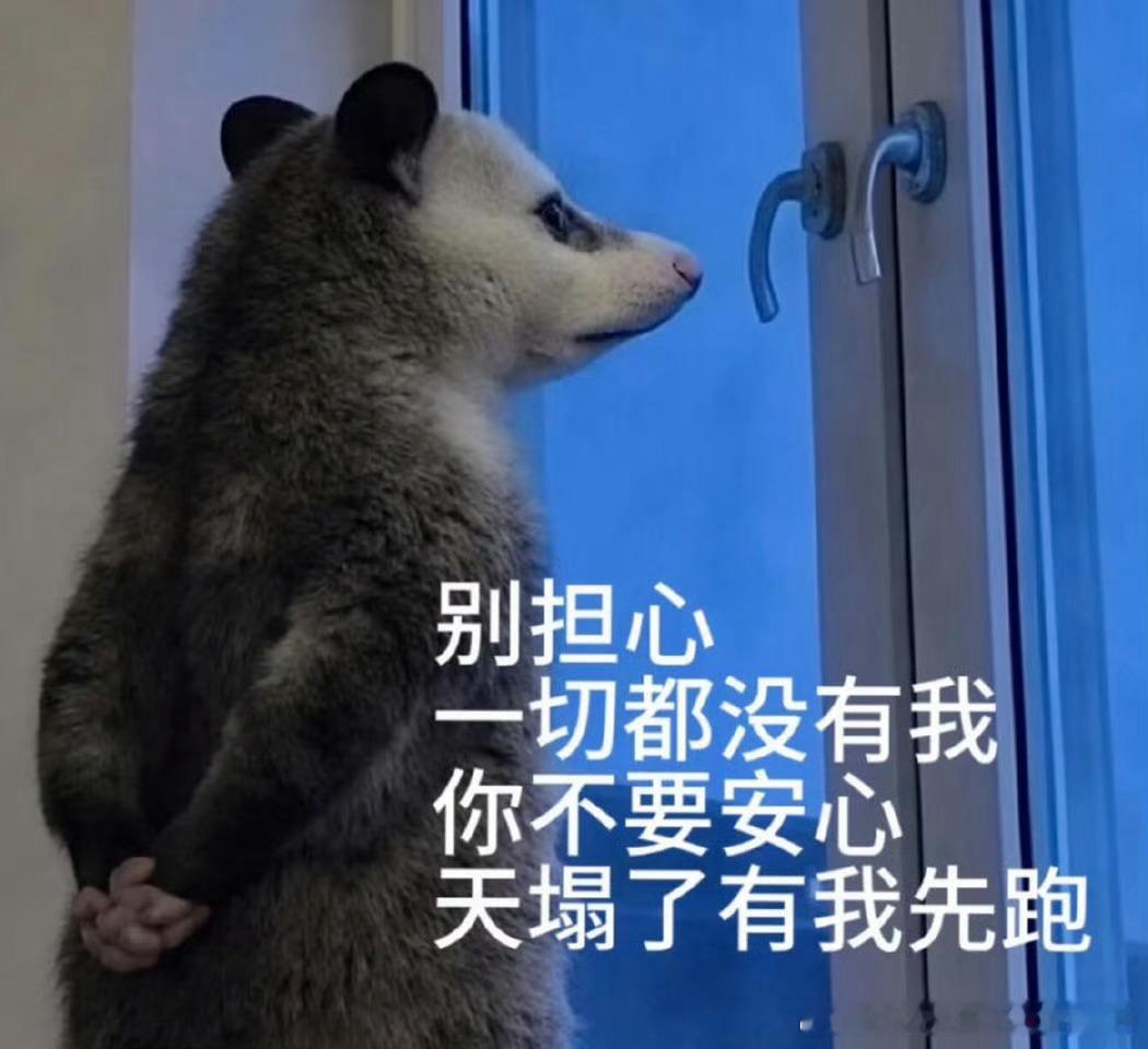 我盯了几个果夹队在里面的个骨，看看怎么个情况