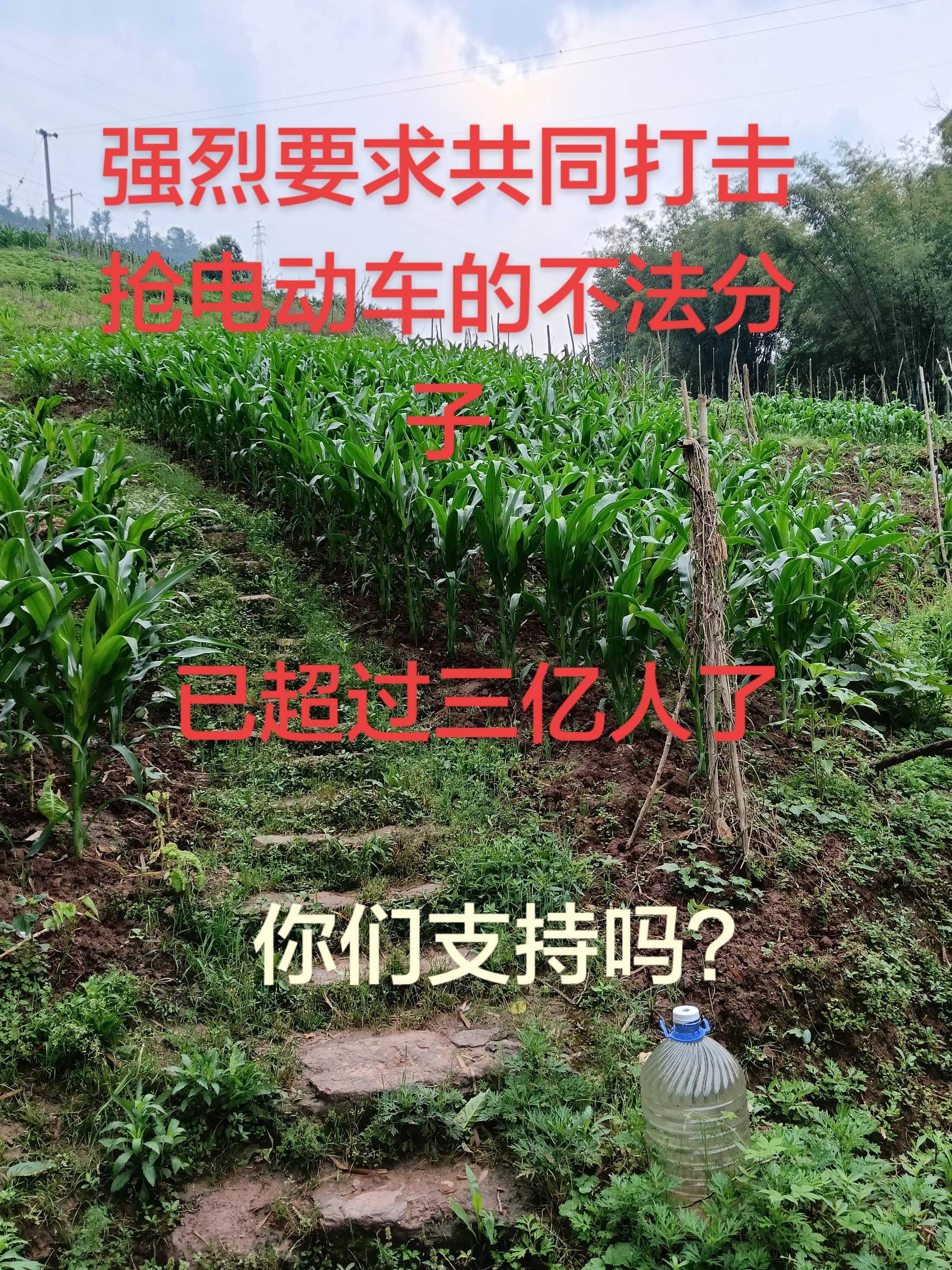 你们支持吗？