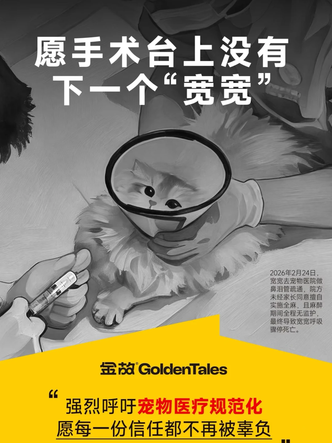 5个月的小奶猫，一场极小的鼻泪管冲洗， 被擅自全麻、违规极速推药、无任...