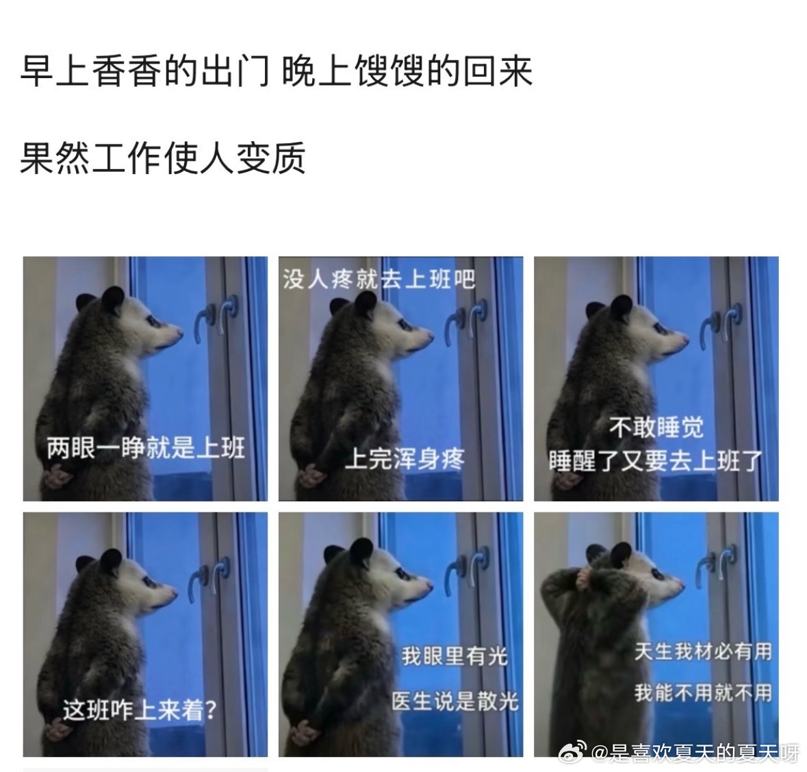 夏天出门简直是一场大型"香气衰变"实验。早上出门前，香水往手腕耳后咔咔两下，连头