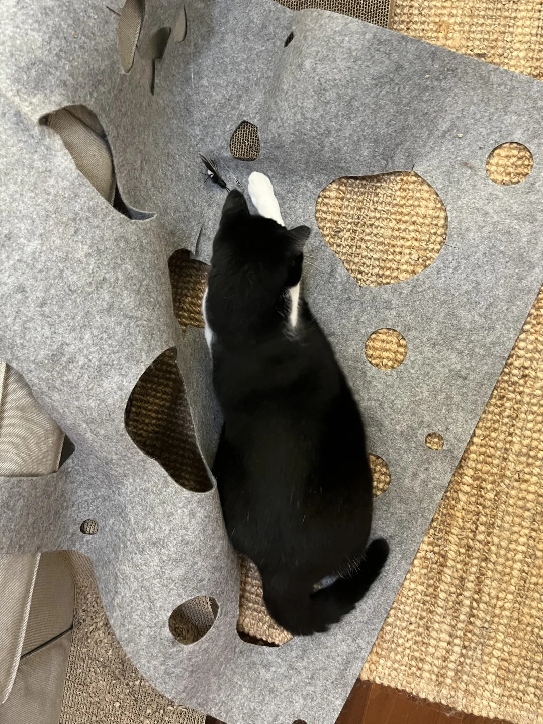 黑色真的显瘦啊