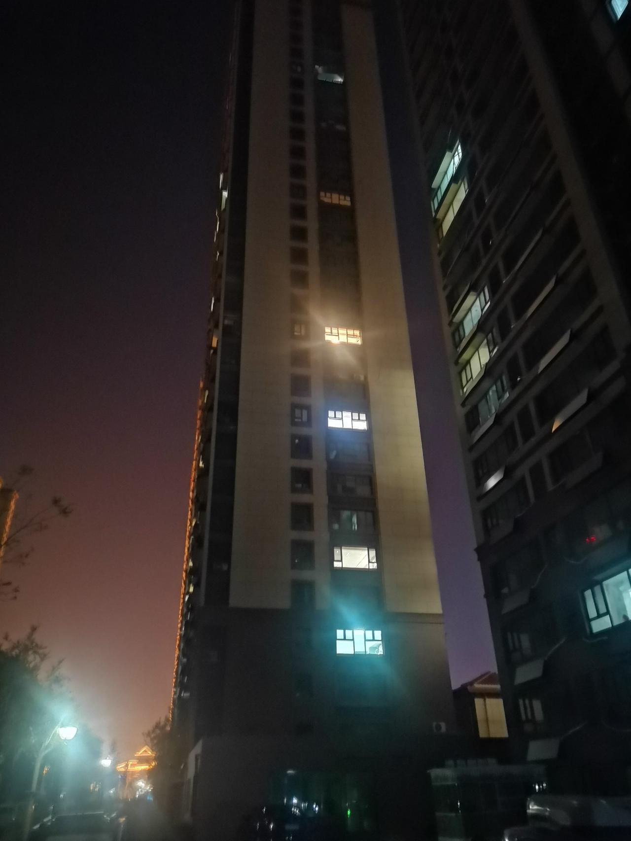 我们像鸟儿一样住进比树还高的房子，看似拥有了安稳与高度，但却没有鸟儿那份自在与洒