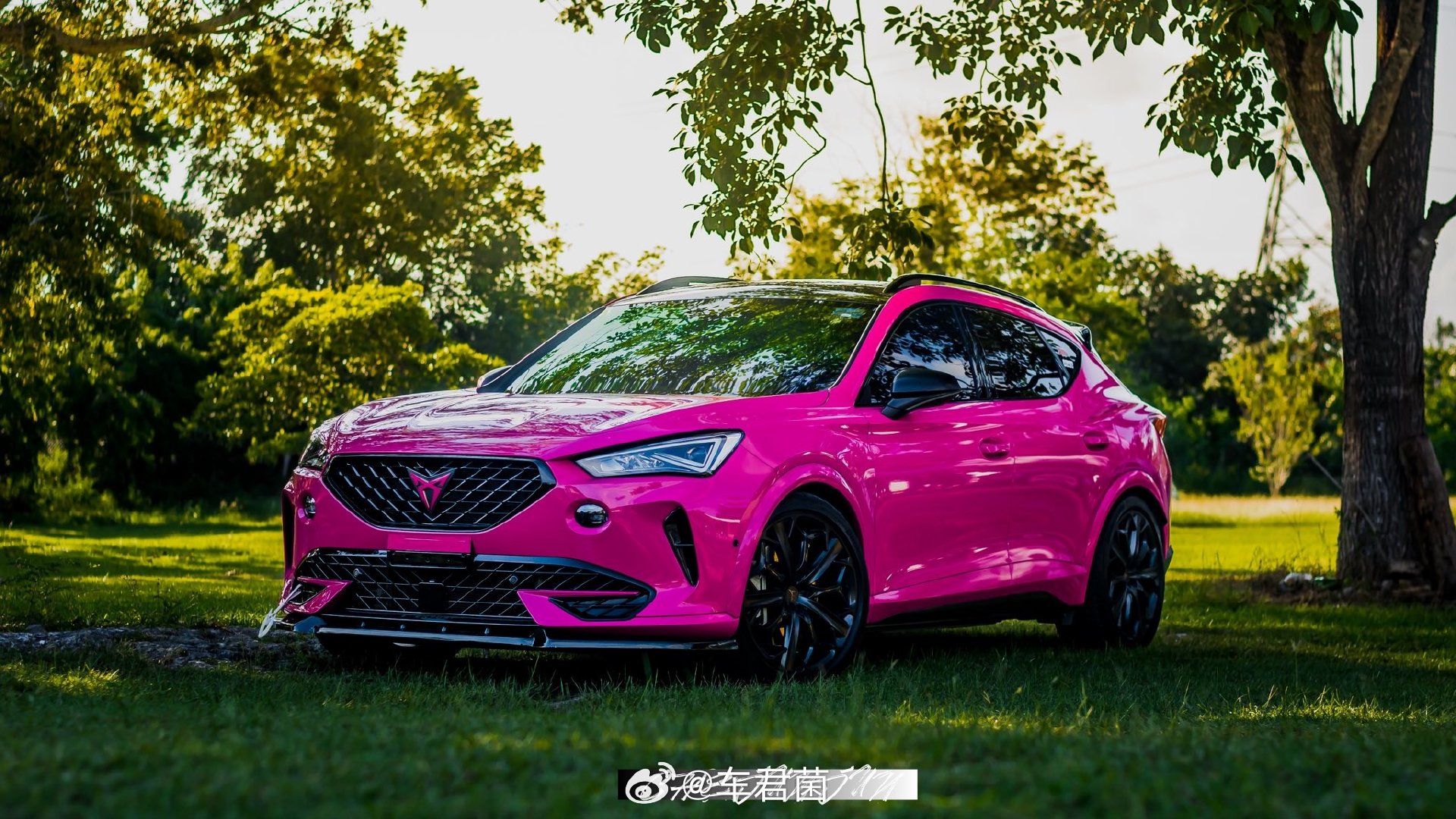 Cupra Formentor 是一款由西班牙品牌 Cupra 推出的全新车型。