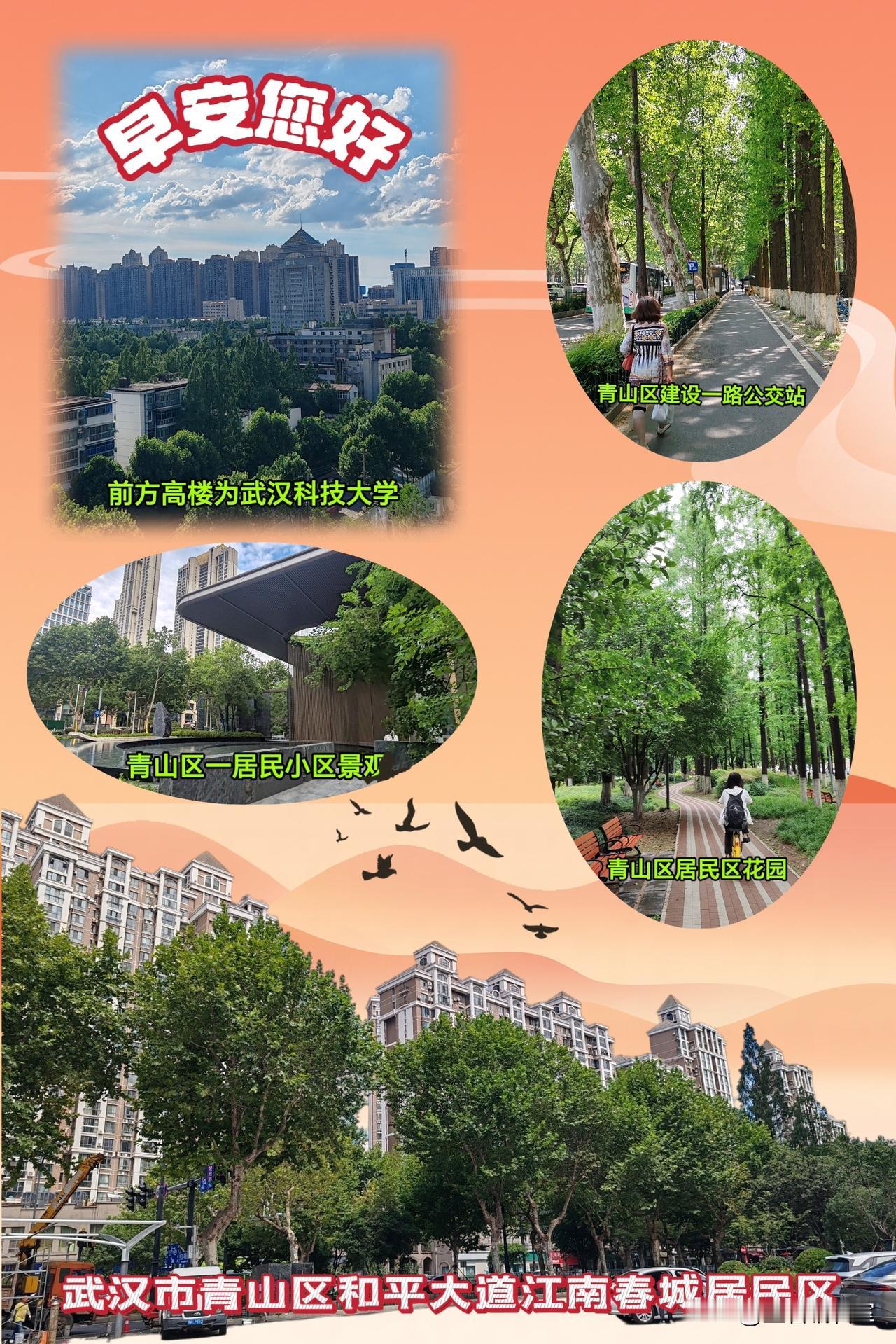 请今日头条网友们欣赏武汉市青山区绿色生态美景图片！🍎🇨🇳🍎
缘份可贵，生