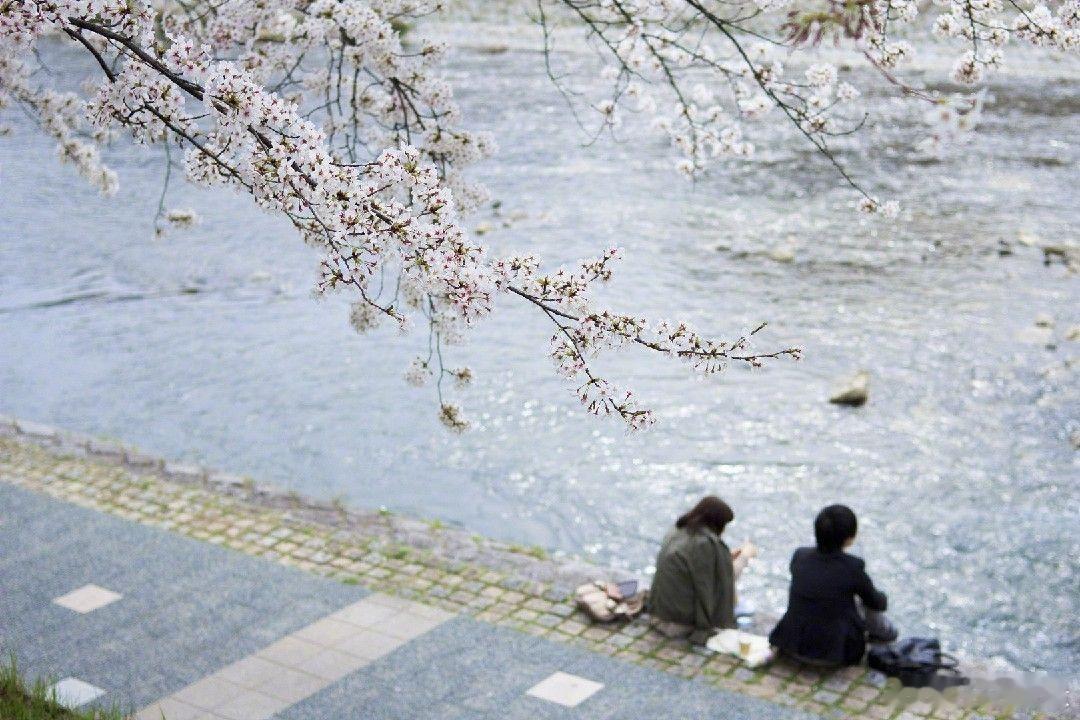 王子情缘语录[超话]水晶里面没有水，矿泉水里面没有矿，雪花里面没有花，所以呢：你