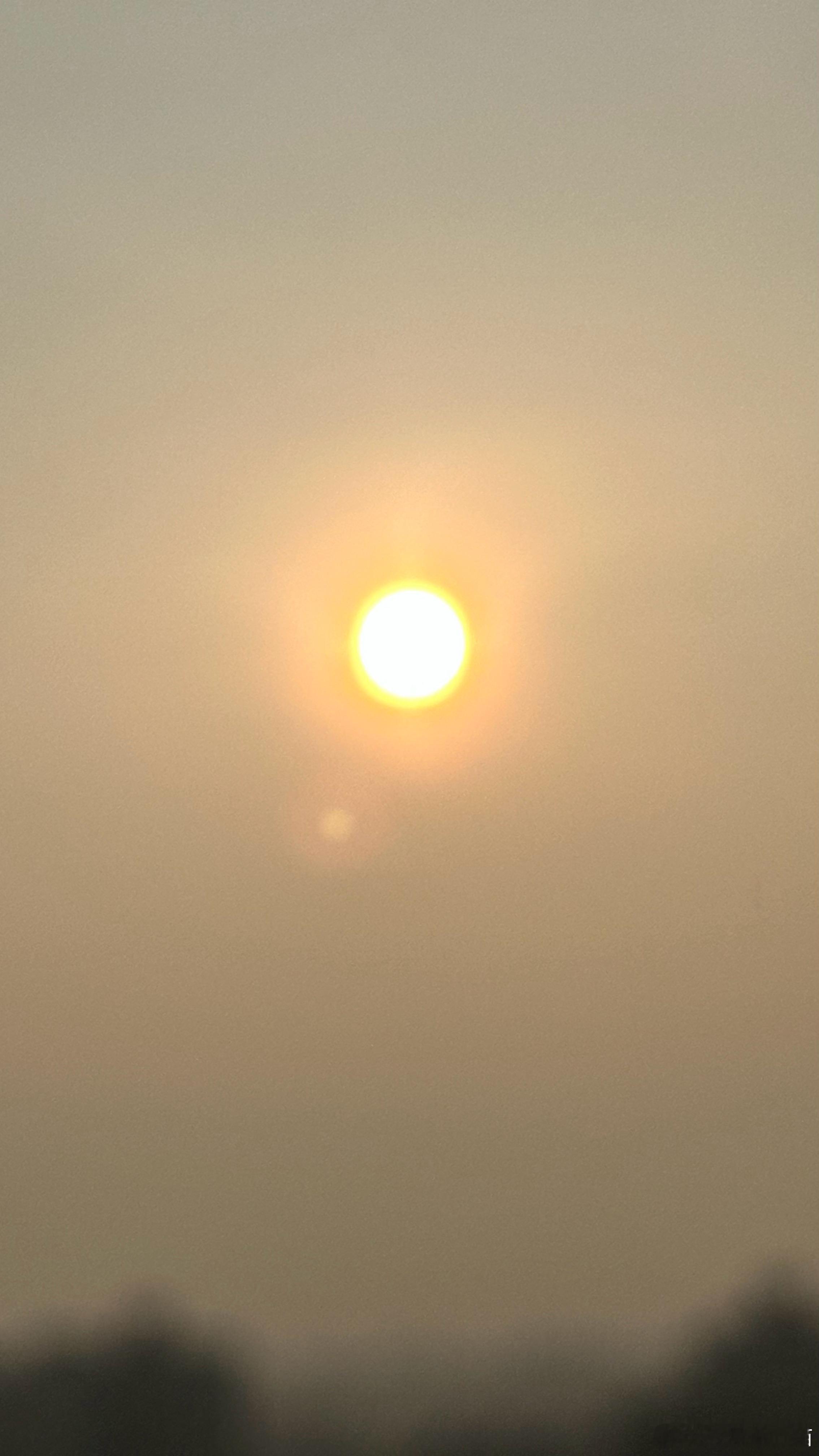 6:00 金乌海底初飞来，朱辉散射青霞开。与火星第一猫一起早起看日出