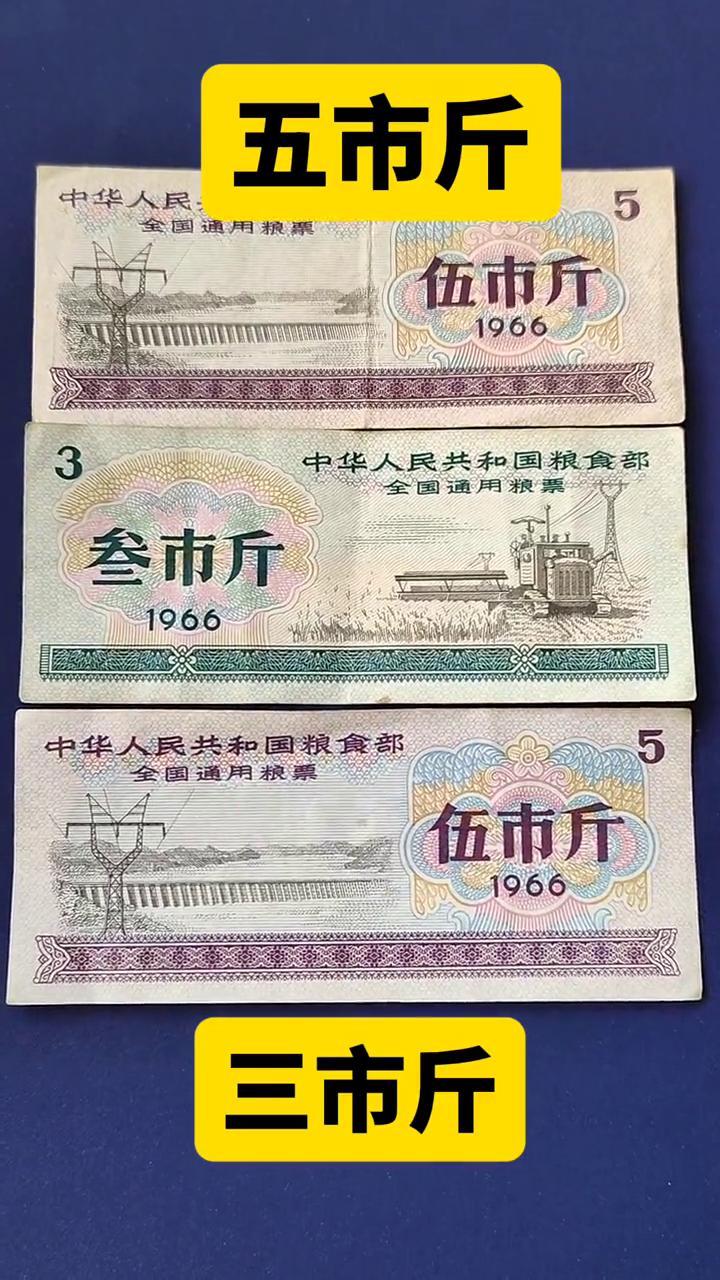 五市斤，三市斤。